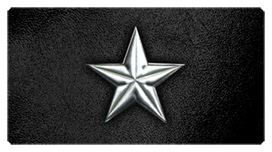 DSC700 430 SL BK Star Silver Black